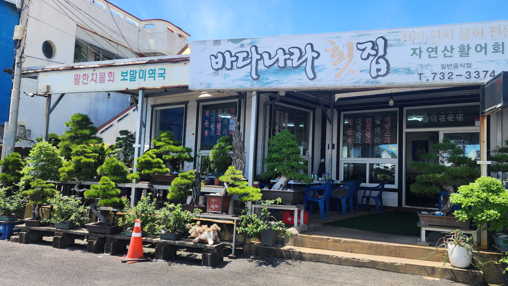 바다나라횟집 사진 2