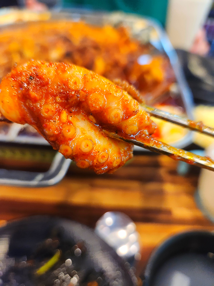 팔봉산용궁불쭈꾸미 2