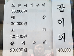 천년의섬 사진 8