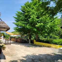 Eunhaengnamujip (은행나무집) 3