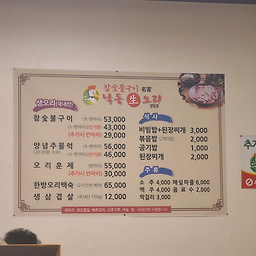 낙동생오리 2