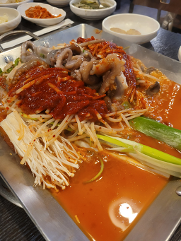 신안산낙지 6