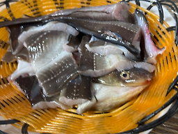 Samcheonposutbuljangeogui (삼천포숯불장어구이) 1
