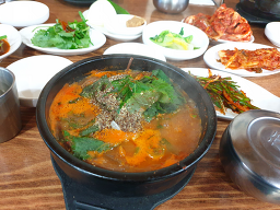 약산흑염소 5
