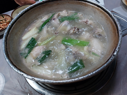 오리떼닭한마리 1