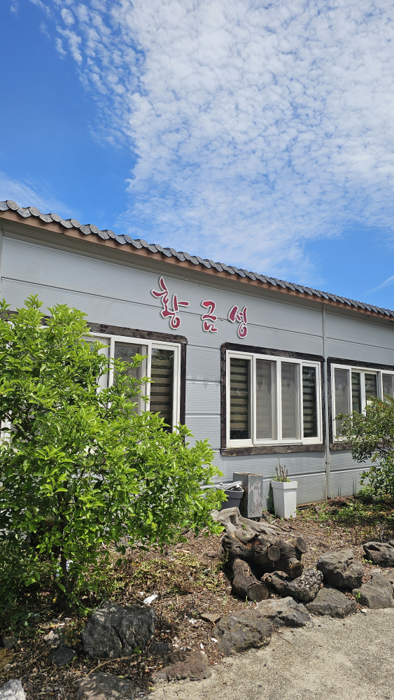 황금성 대표 사진