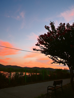 Gangbyeonpunggyeong (강변풍경) 3
