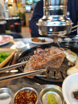 술돼지 2