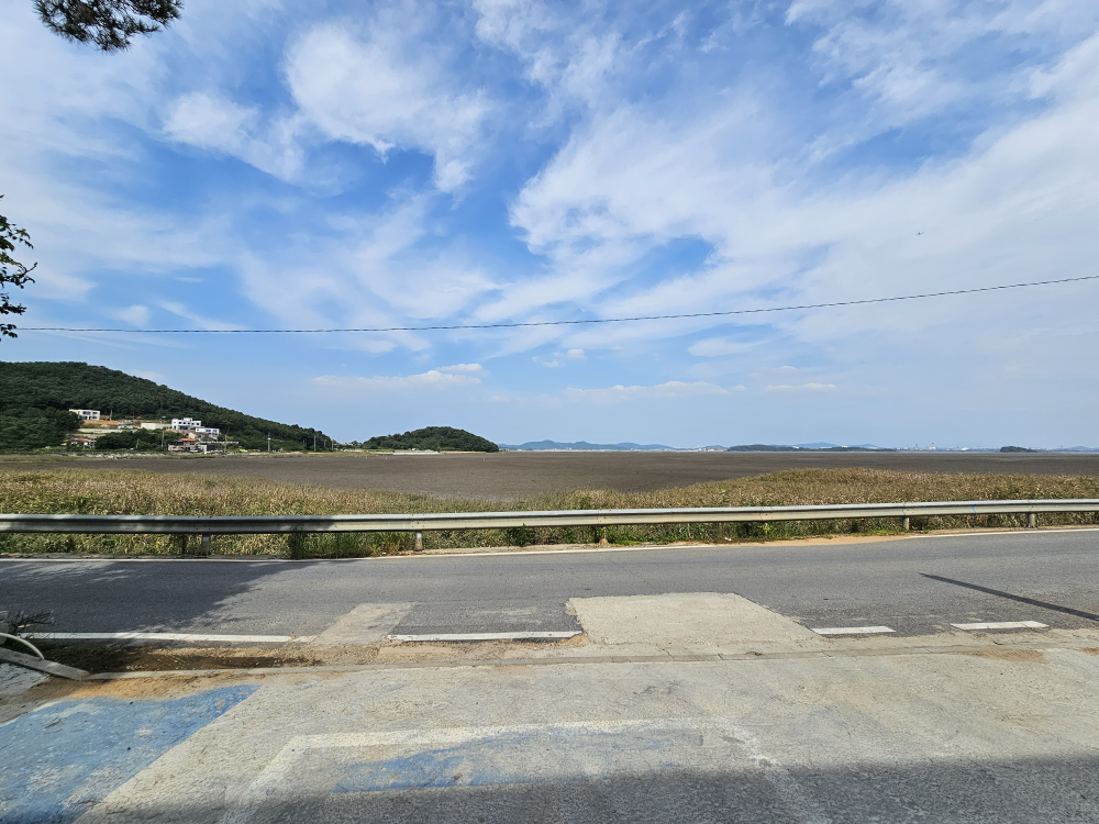 큰맘할매순대국 외 1 2
