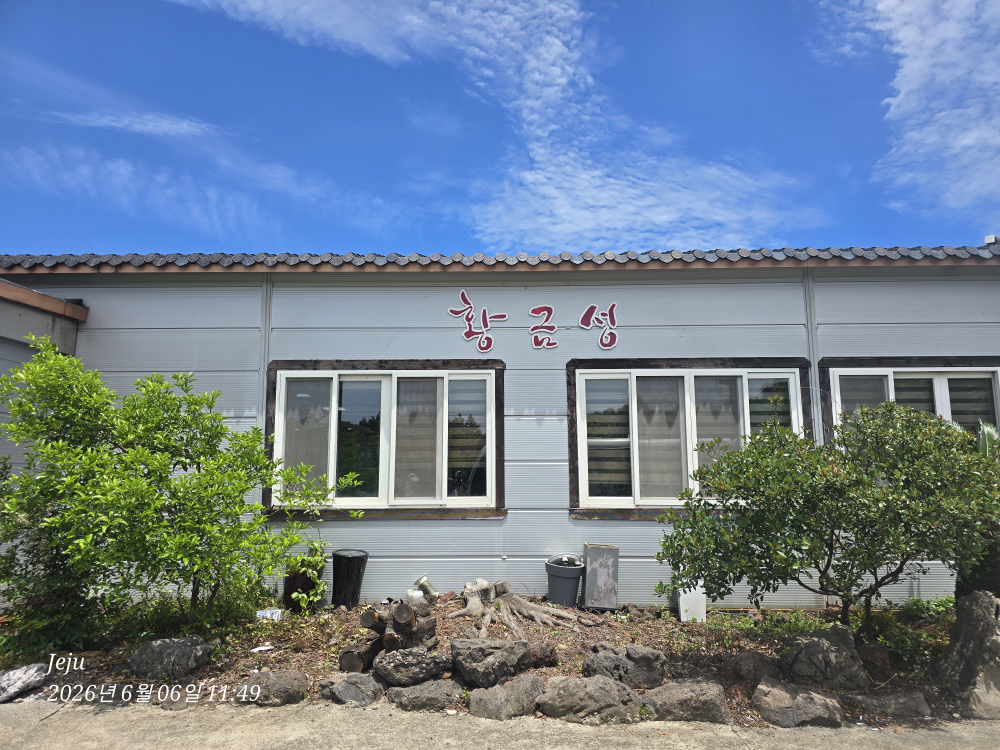 황금성 사진 2