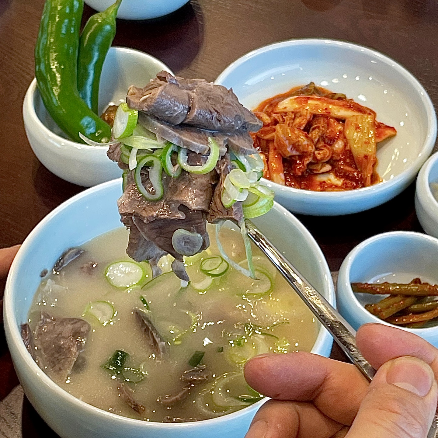 늘곰탕 3