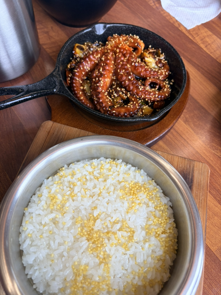 벵디 사진 6
