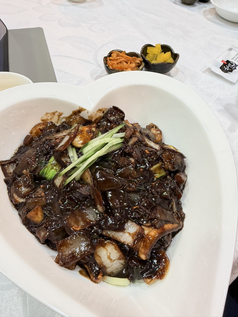 하이보 사진 6
