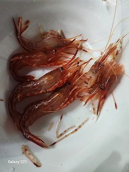 옥이네