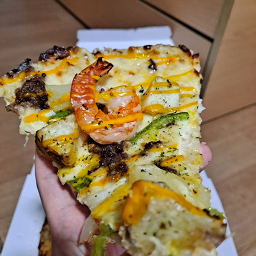 Domino's Pizza 4