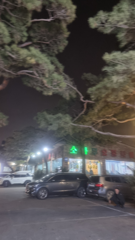 소나무가든 5