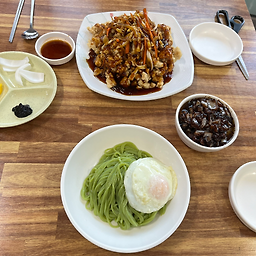 Cheonbiryong (천비룡) 1