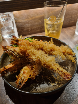 히비 사진 7