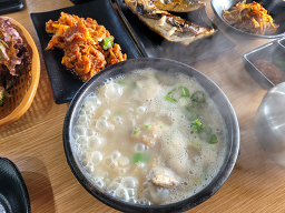 솜빡 사진 5