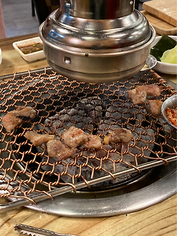 Dwaejiyeongnonghugyeja (돼지영농후계자) 2