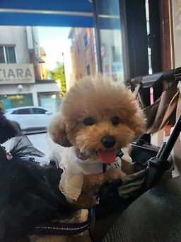 등대포차 대표 사진