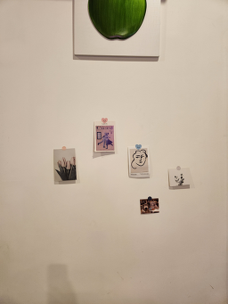 카페린 6