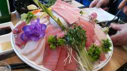 정참치 3