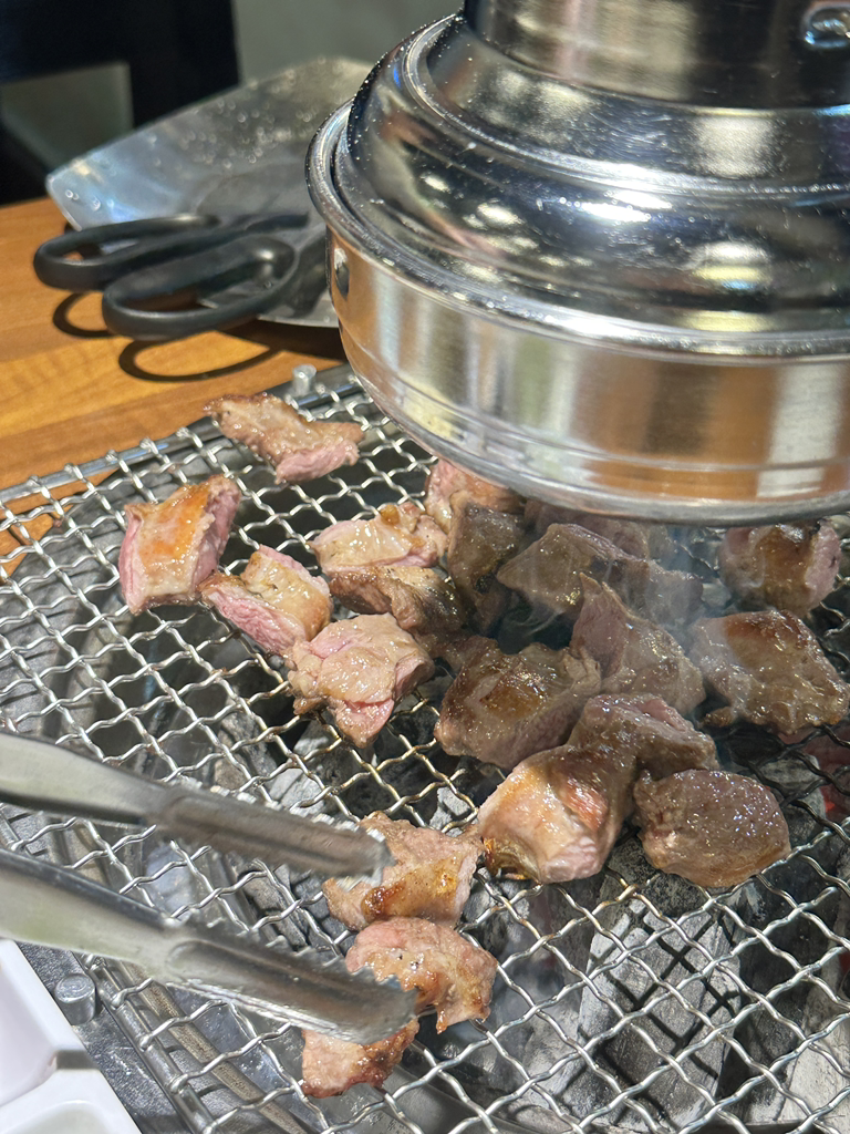 문정갈매기 사진 2