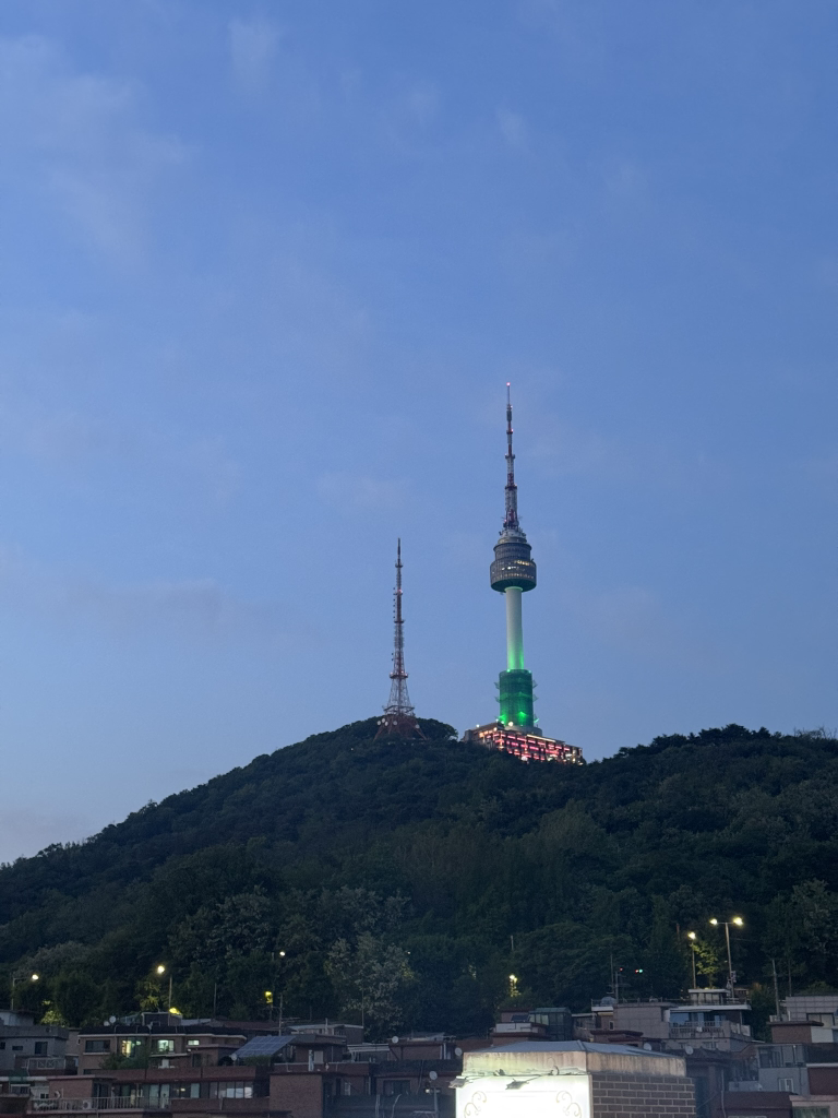 눕피자 사진 5