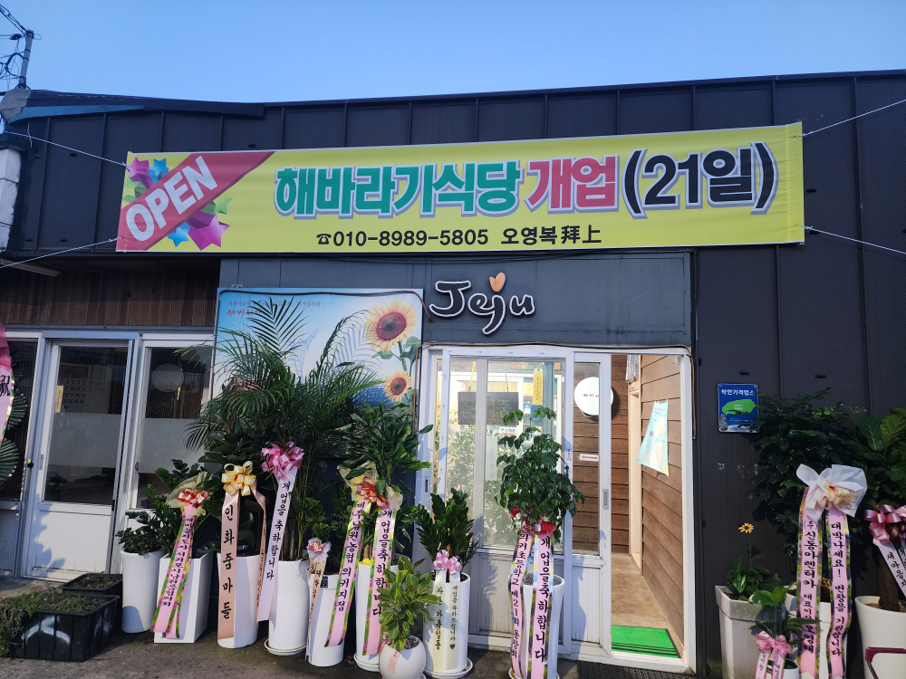 해바라기식당 사진 5