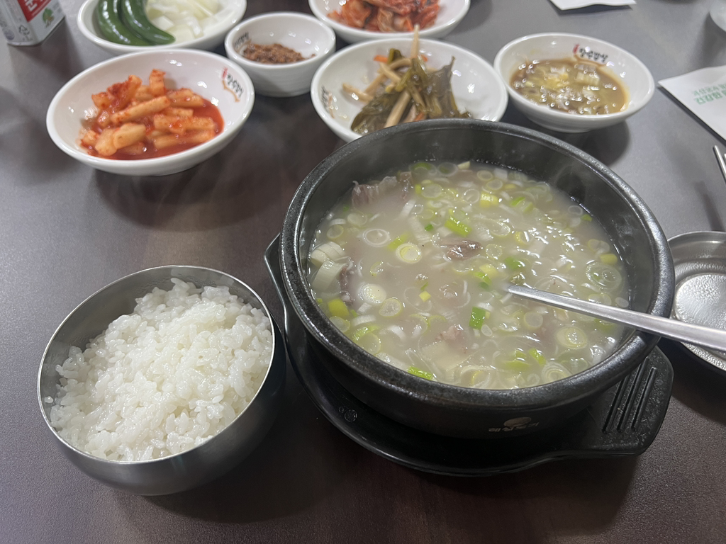 갱치 6
