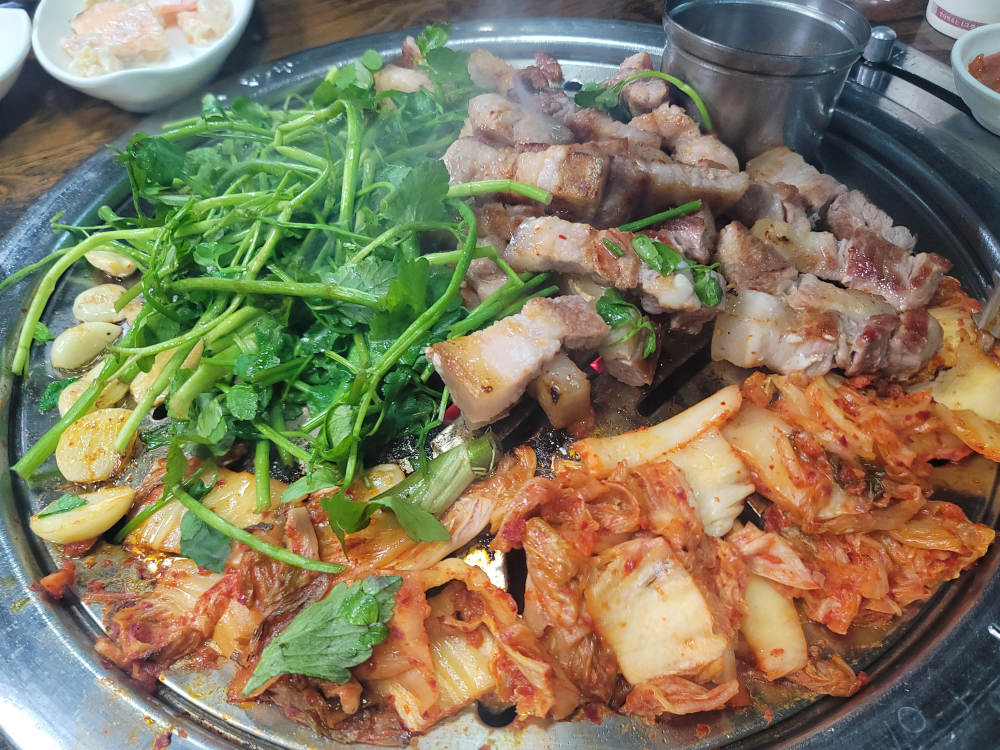 제주도야지 2