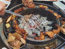 꼴통갈매기 1