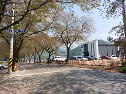 Geumsangomtang (금산곰탕) 1