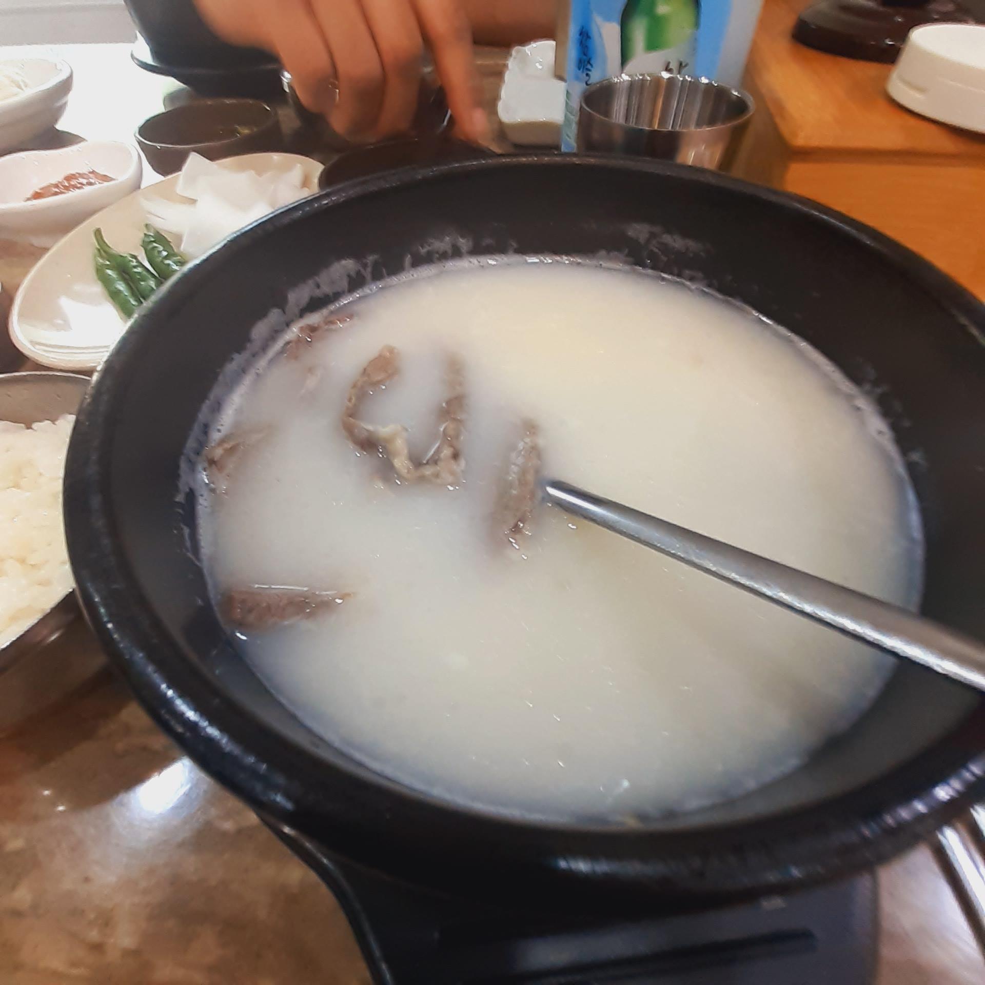 Hanyangok 6