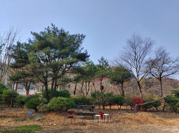 Muhakjjimjeonmun (무학찜전문) 3