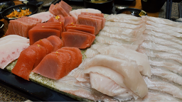 청참치 1
