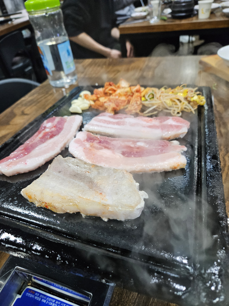 돼야지 6
