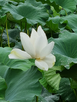 오후엔소풍 2