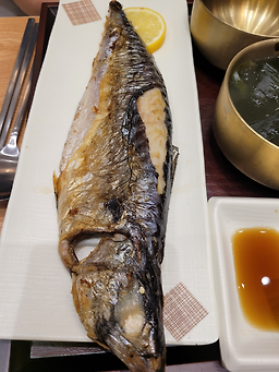 정백어가 사진 3