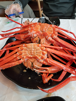 게섯거라무한리필 11
