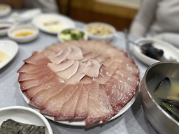포항물횟집 4