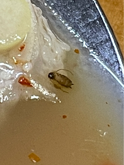 Hanildwaejigukbap (한일돼지국밥) 2