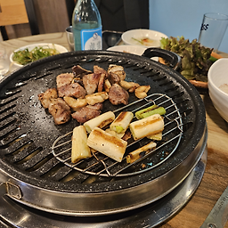 금관꽃돼지 5