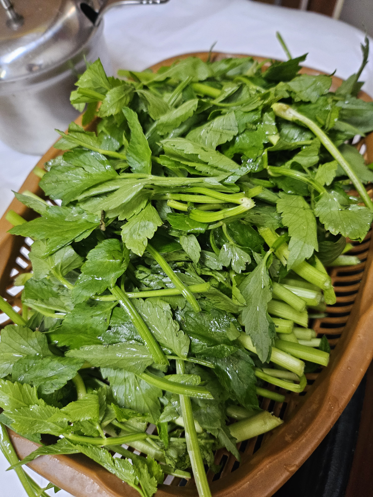 Yeongmioritang 6