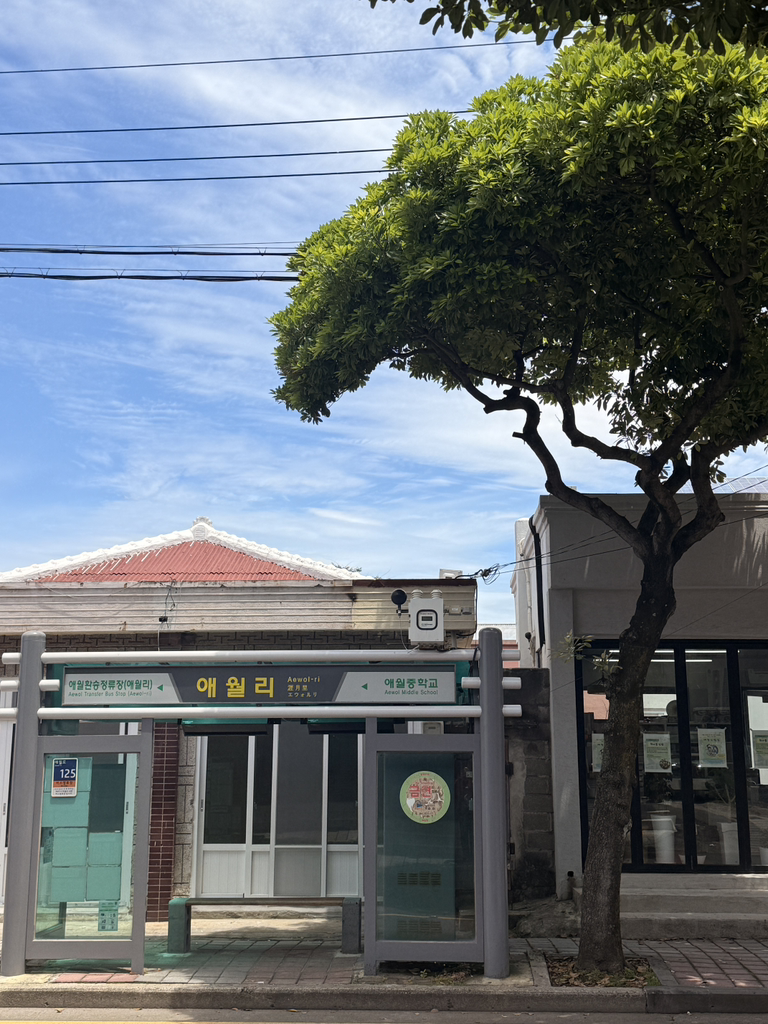 애월김밥 사진 2