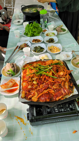 진달래향기 1