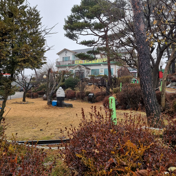 Deulmoeyaksanheukyeomsojeonmunjeom (들뫼약산흑염소전문점) 2