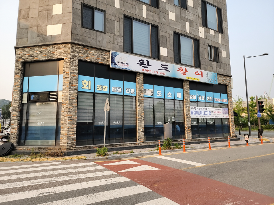 완도활어 1