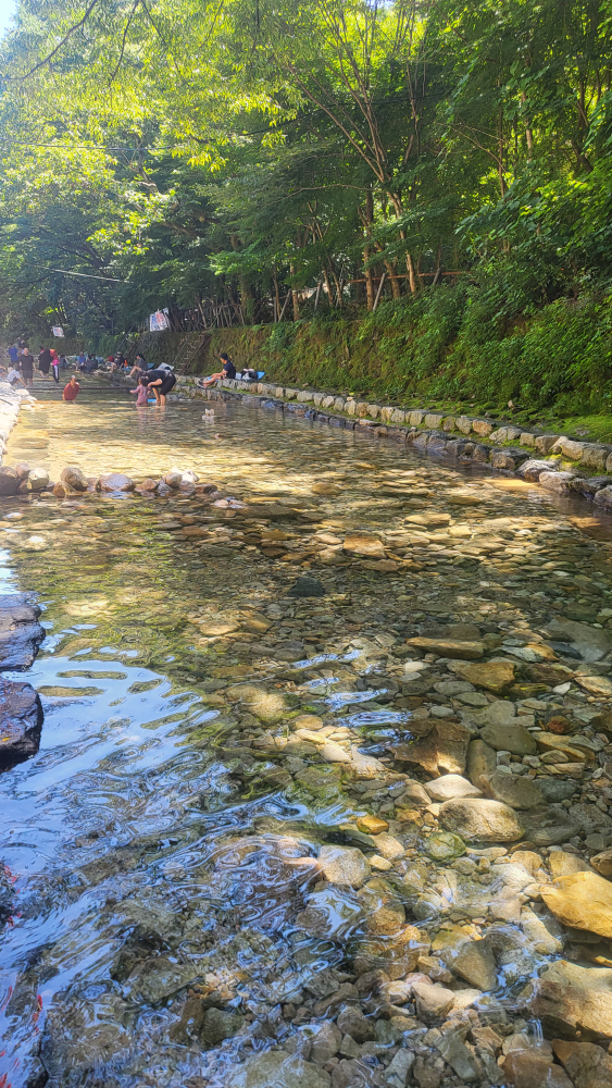 Jeonjusikdang (전주식당) 1